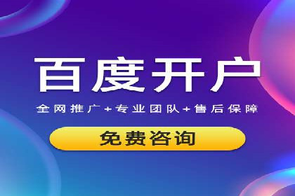 成功SEM投放案例分享